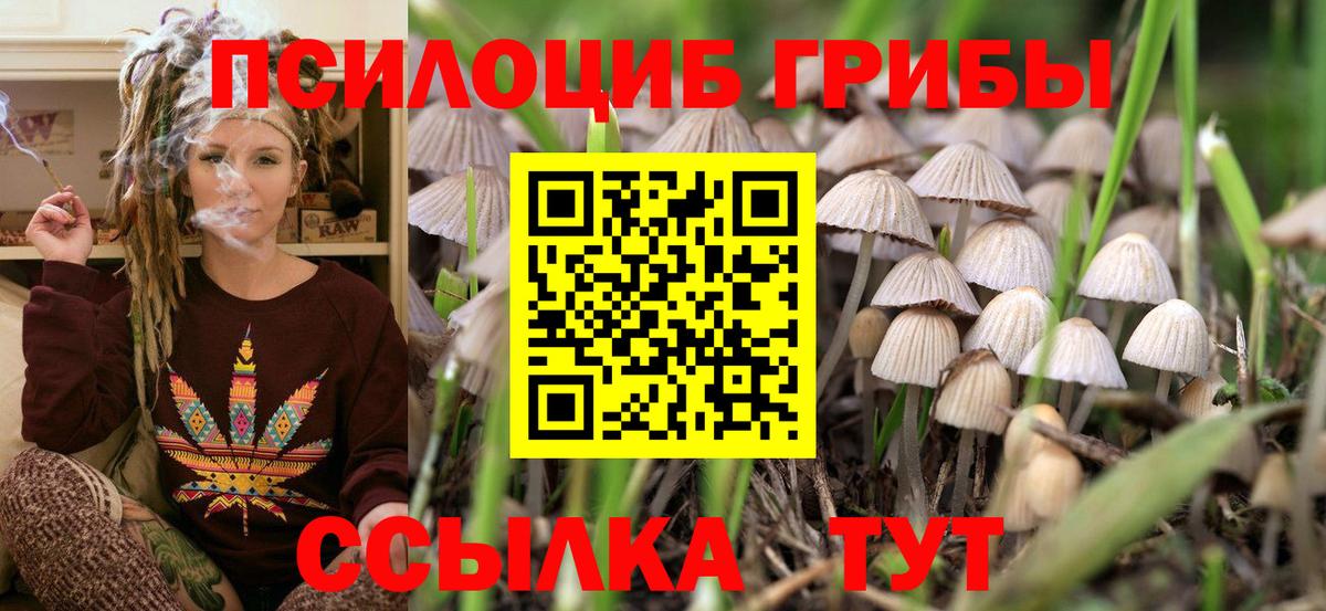 Псилоцибиновые грибы Psilocybine cubensis Кушва